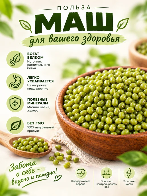 NutsVIP PREMIUM Бобы маш 1 кг крупа зеленая для проращивания и супа, 1 кг, фото 3