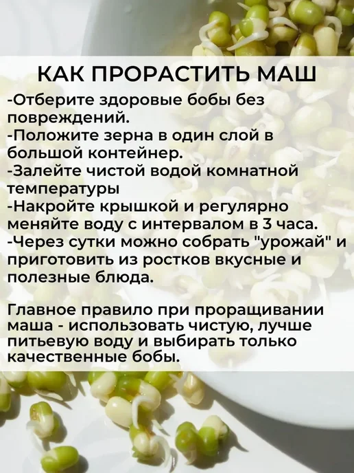 NutsVIP PREMIUM Бобы маш 1 кг крупа зеленая для проращивания и супа, 1 кг, фото 8