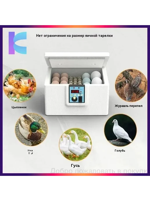 Инкубатор для куриных яиц, 10 шт, питание от сети, 10 шт, фото 2