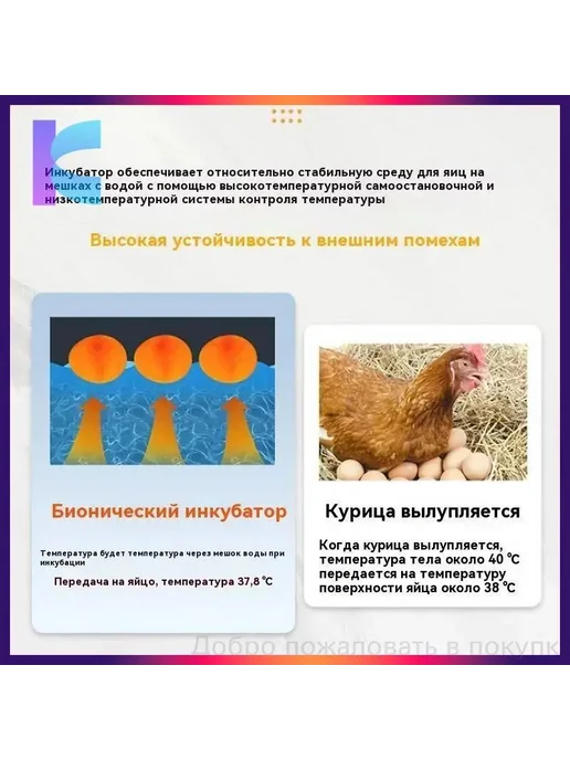 Инкубатор для куриных яиц, 10 шт, питание от сети, 10 шт, фото 5