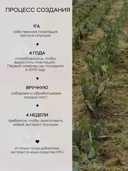 Тоник увлажняющий с опунцией, вариант, фото 7
