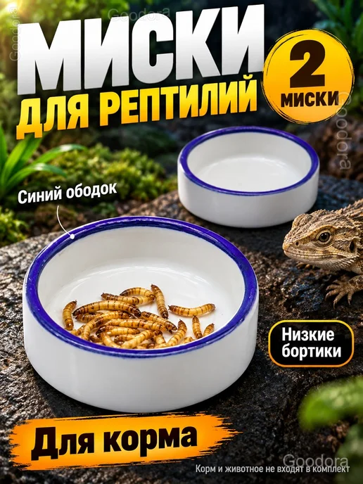 Керамические миски для рептилий, набор 2 шт, 2 шт