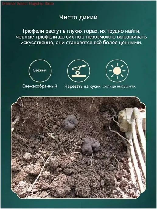 Грибы сушеные Трюфеля 15г. 1шт, 15 г, 1 шт, фото 7