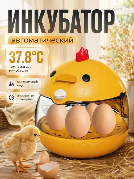 Инкубатор несушка автоматический, вариант
