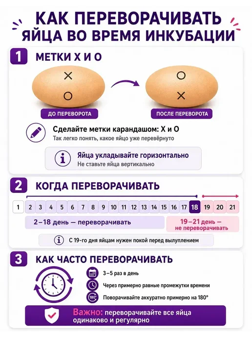 Инкубатор несушка автоматический, вариант, фото 7