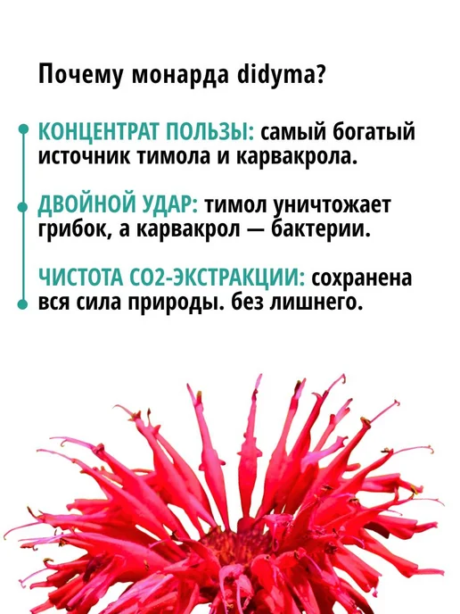 Масло монарды от онихолизиса и грибка ONYCHO DUO уход для и, вариант, фото 8