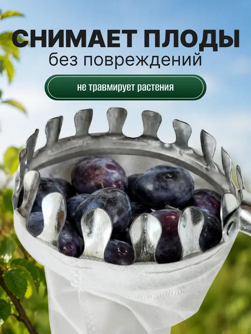 Плодосъемник ручной садовая для растений, вариант, фото 4