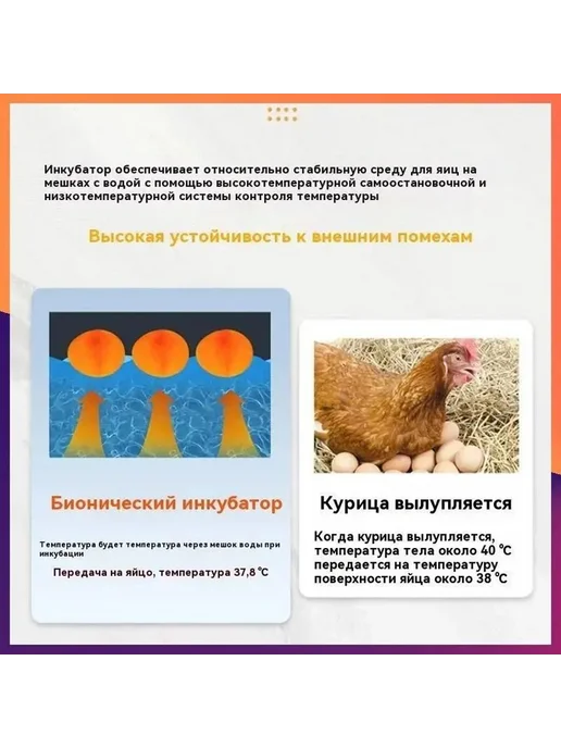 Инкубатор для яиц кур-несушек, 10 шт, питание от сети 220 В, 10 шт, фото 8
