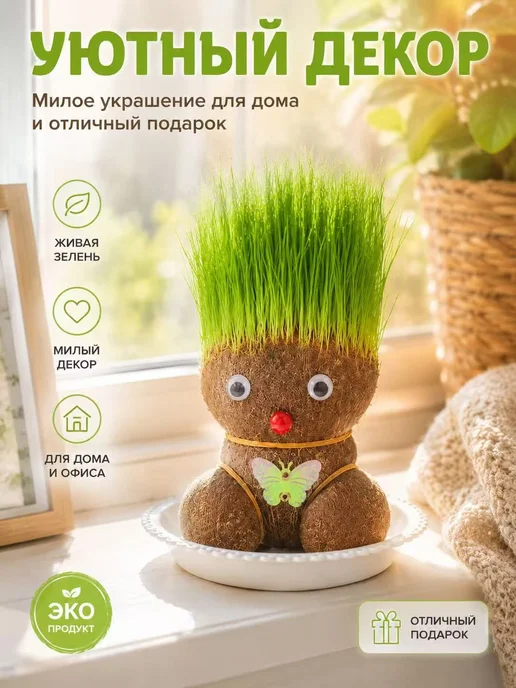Набор для выращивания, вариант