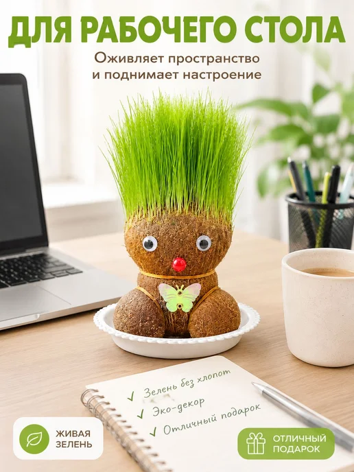 Набор для выращивания, вариант, фото 2