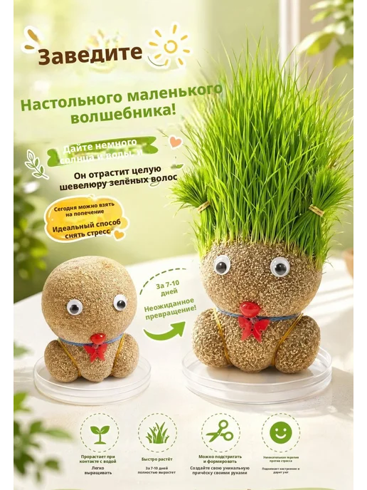 Набор для выращивания, вариант