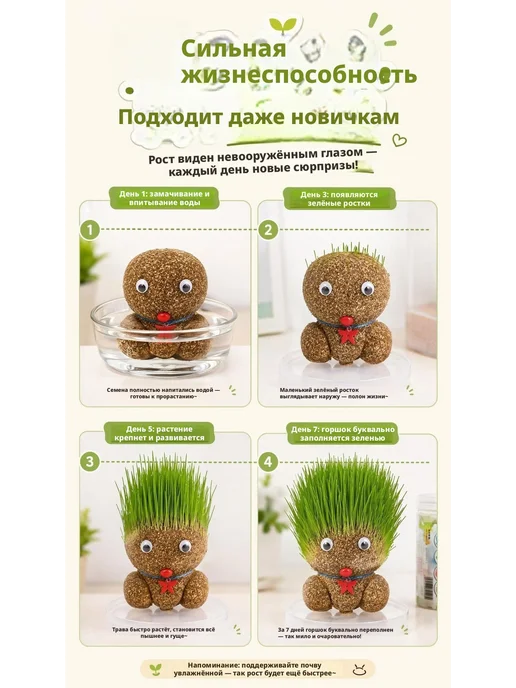 Набор для выращивания, вариант, фото 4