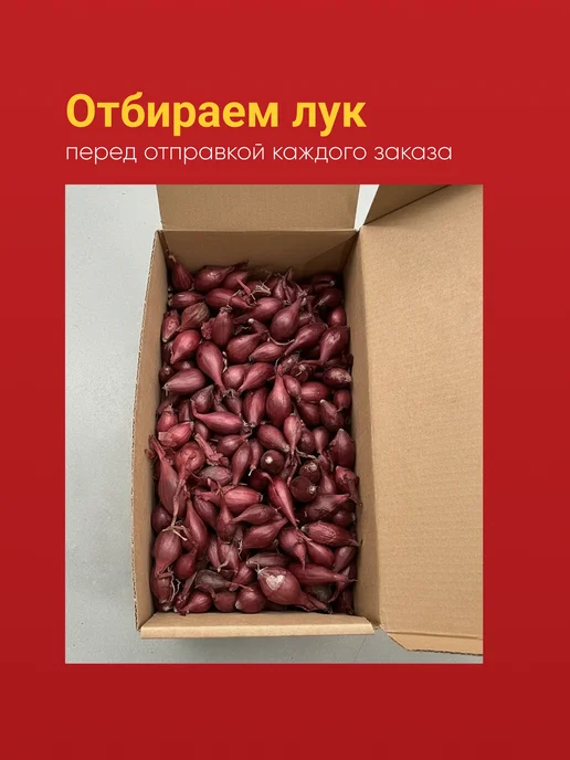 Лук севок Кармен красный озимый 10-17 мм 0,5 кг Голландия, 0,5 кг, фото 5