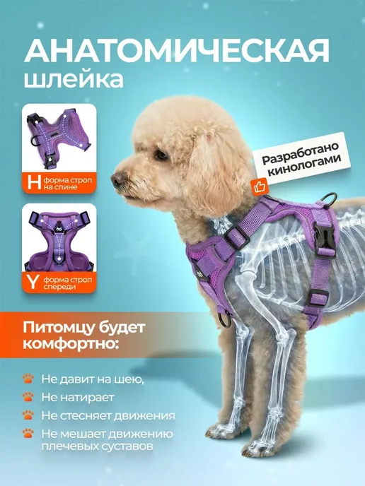 Шлейка для собак и кошек мелких и средних пород с поводком, вариант, фото 2