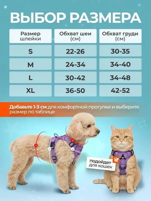 Шлейка для собак и кошек мелких и средних пород с поводком, вариант, фото 3