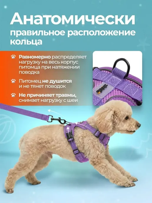 Шлейка для собак и кошек мелких и средних пород с поводком, вариант, фото 4