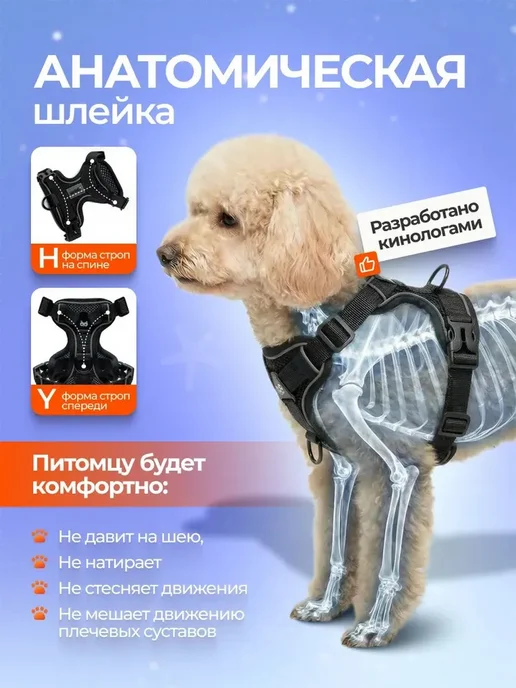 Шлейка для собак и кошек мелких и средних пород с поводком, вариант, фото 2
