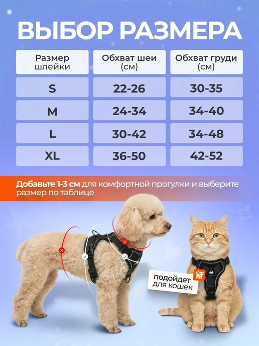 Шлейка для собак и кошек мелких и средних пород с поводком, вариант, фото 3