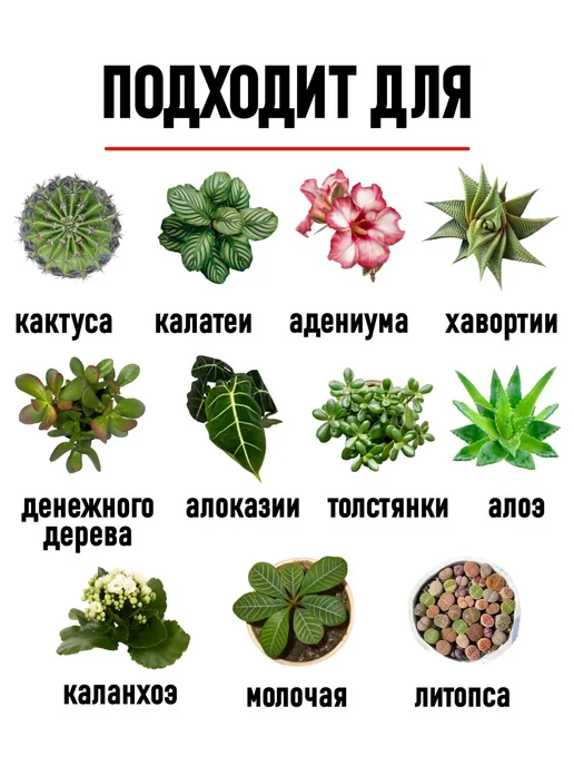 ТЕРРАМИН Грунт минеральный TERRAMIN для кактусов и суккулентов 1 л, 1 л, фото 4