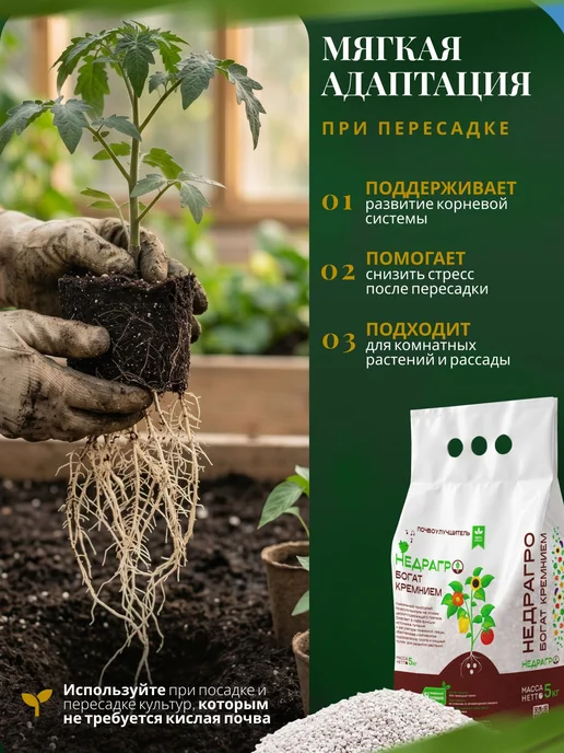 Цеолит для растений, почвоулучшитель для рассады, комнатных, вариант, фото 3