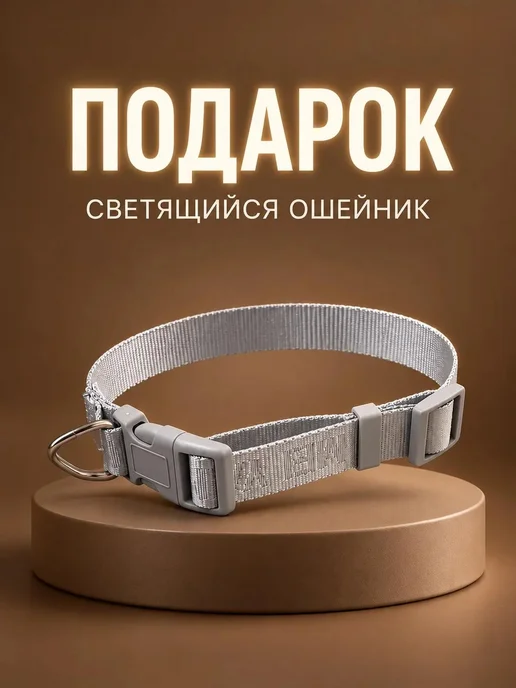 Purity&home Дождевик для собак непромокаемый комбинезон, фиолетовый, фото 2