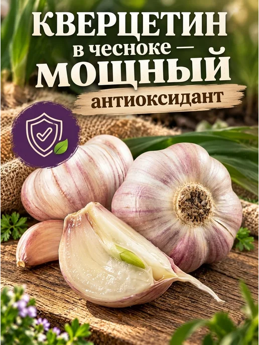 Чеснок на посадку озимый богатырь 3 головки, вариант, фото 5