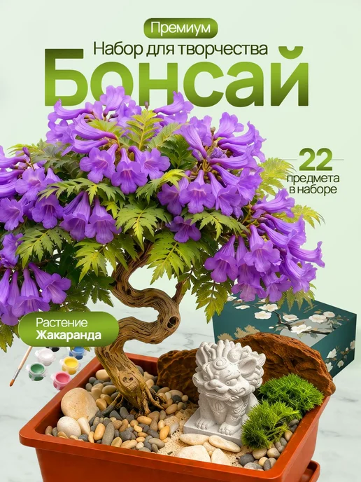 Бонсай большой подарочный набор для выращивания растений, вариант