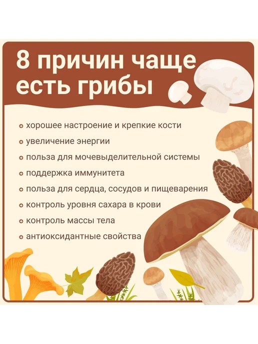Грибное ассорти молотое(порошок) (белые, подберезовики, подо, белый, фото 2