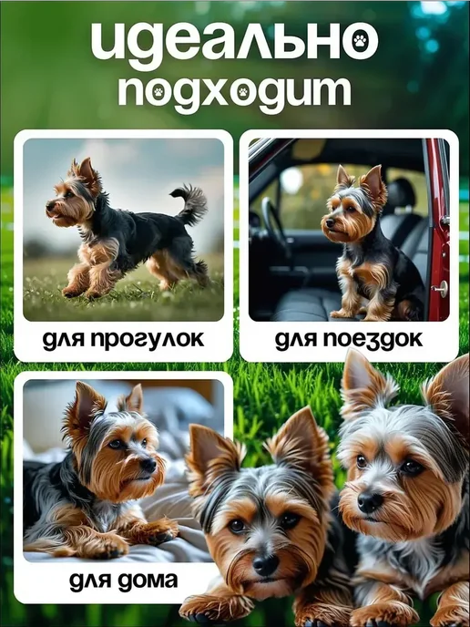Силиконовая лапомойка для собак и кошек, вариант, фото 7
