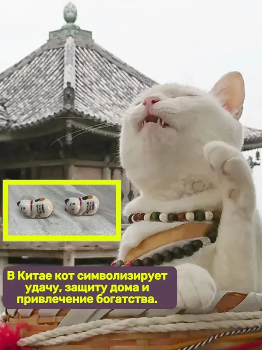 Палочки для еды 22.5 см набор, вариант, фото 2