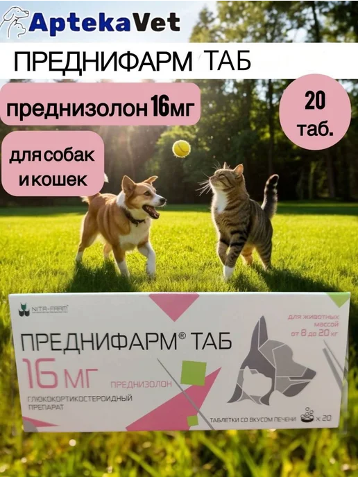 Преднифарм ТАБ 16 мг для кошек и собак (20 таб.), вариант