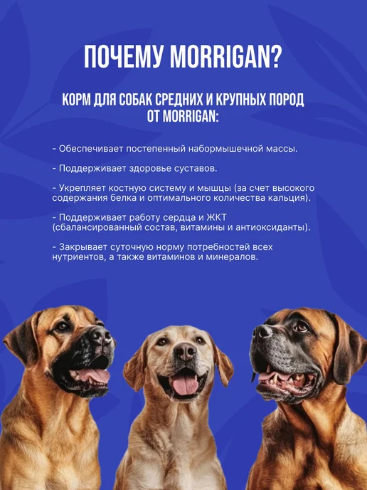 Сухой корм Morrigan для собак, крупные, средние, 0,6 кг, фото 2