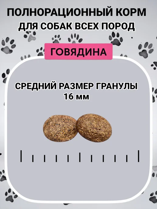 Сухой корм Сытый любимчик для собак, говядина, 2 кг, фото 3