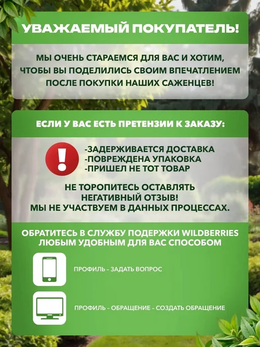 Чеснок на посадку под зиму Сибирский Гигант, 20 шт, фото 4