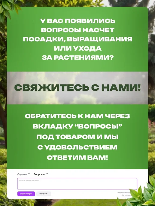 Чеснок на посадку под зиму Сибирский Гигант, 20 шт, фото 5