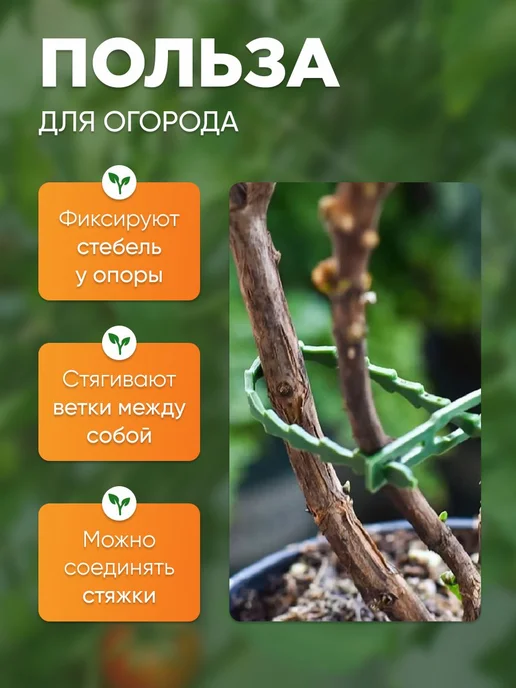 Подвязка для растений 50 штук 365lHome, вариант, фото 5