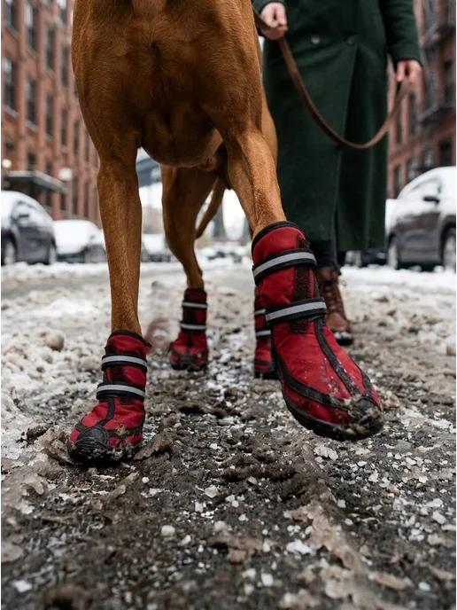 DOGMODA Сапожки для собак для крупных пород мягкие от реагентов, красный, фото 2