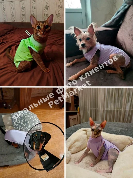 Попона послеоперационная кошка липучки размер L, вариант, фото 6