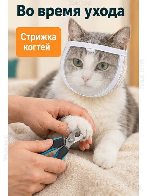 Намордник для кошек тканевый с прозрачной вставкой, вариант, фото 6