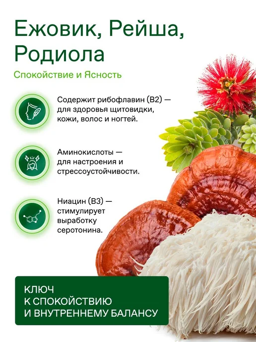 Кофе с ежовиком и рейши FFCOFFEE The Peace спокойствие, бала, вариант, фото 2