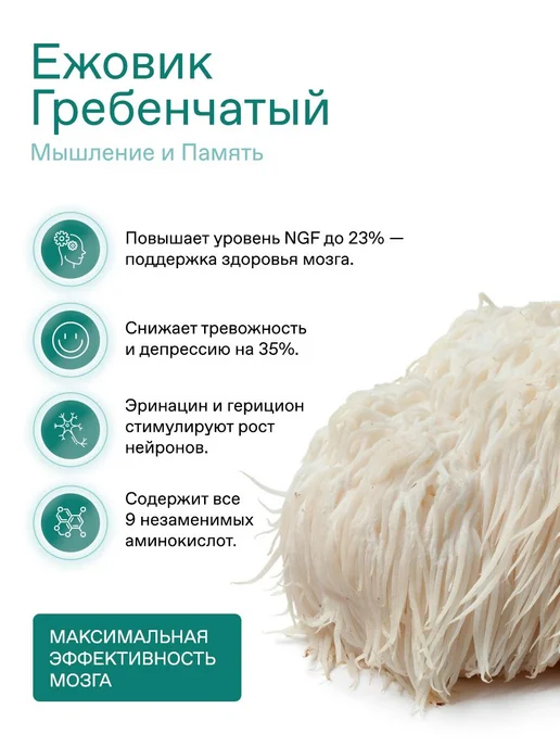 Кофе с грибами FFCOFFEE The Sense концентрация, память и ясн, вариант, фото 2