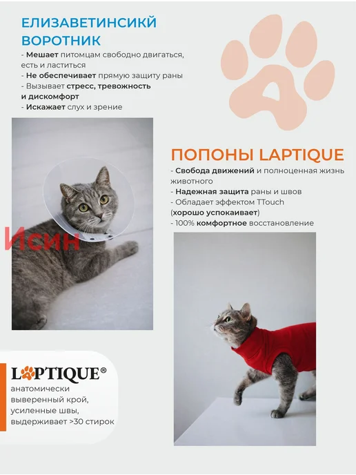 Послеоперационная попона-боди для кошек, размер 3XS, вариант, фото 4