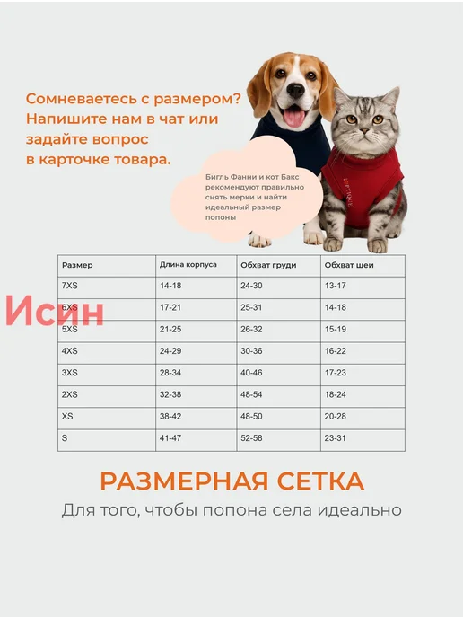 Послеоперационная попона-боди для кошек, размер 3XS, вариант, фото 7