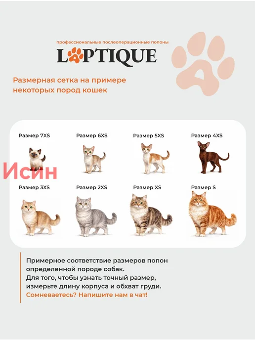 Послеоперационная попона-боди для кошек, размер 3XS, вариант, фото 8
