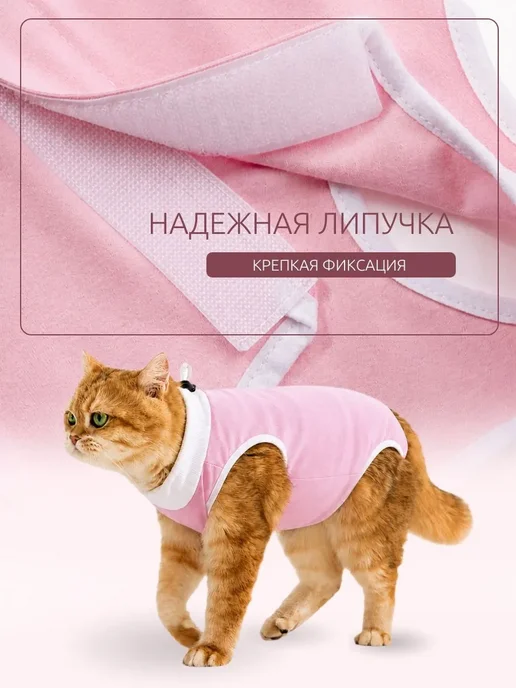 Попона для кошек послеоперационная, вариант, фото 3