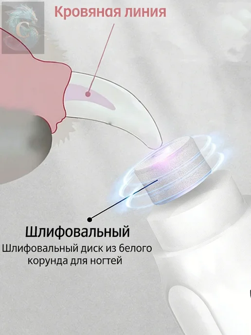 Шлифовальная машинка для когтей кошек и собак, вариант