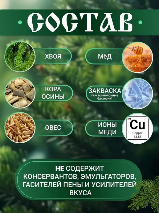 Хвойный квас живого брожения Сурица 2 шт (концентрат, 2 шт, фото 2
