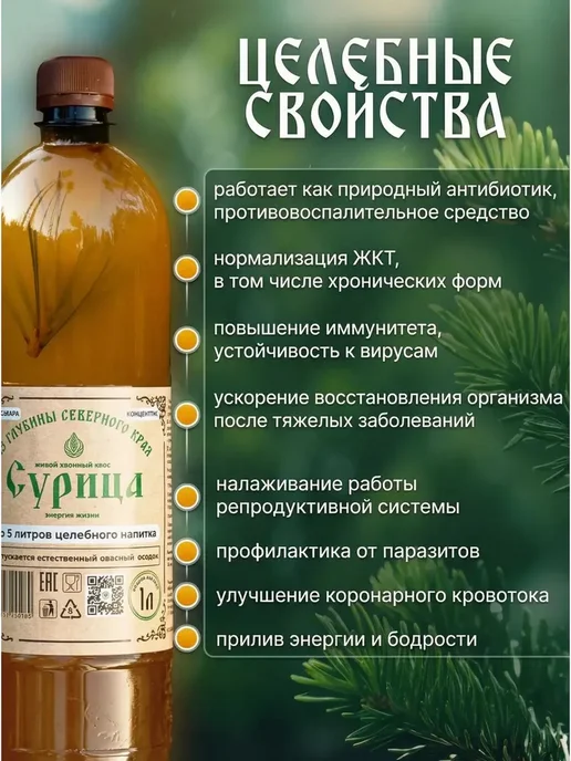 Хвойный квас живого брожения Сурица 2 шт (концентрат, 2 шт, фото 3
