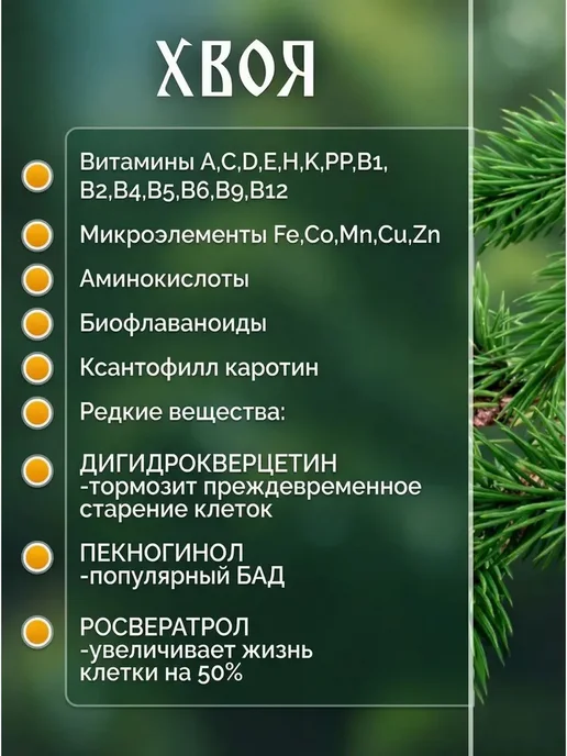 Хвойный квас живого брожения Сурица 2 шт (концентрат, 2 шт, фото 5