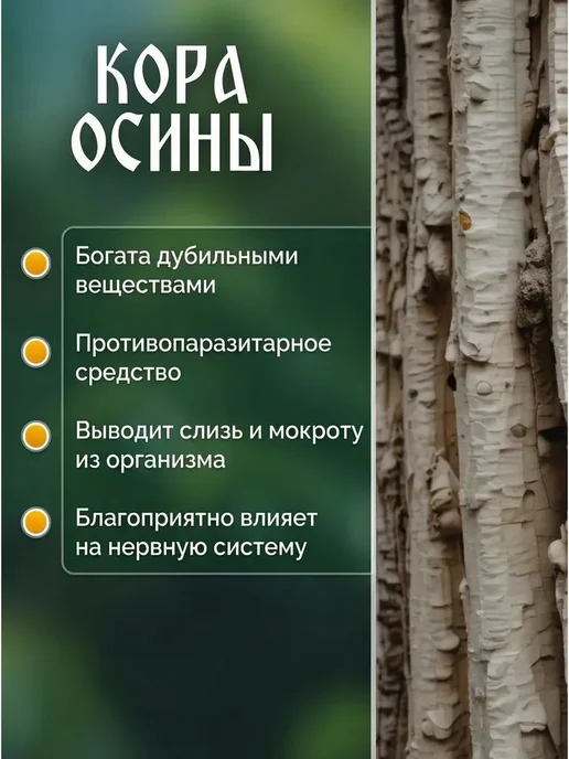 Хвойный квас живого брожения Сурица 2 шт (концентрат, 2 шт, фото 6